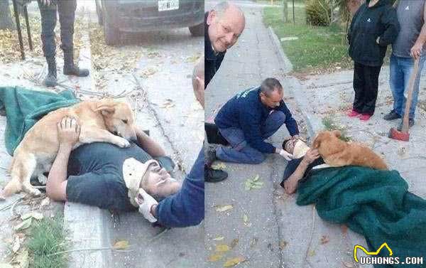 狗子与主人的感情之深，没养过狗的人是体会不到的