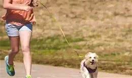 狗子们的10个过冬妙招，最后一个竟是……