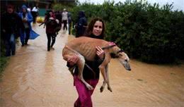 其实抱狗狗的姿态很重要，要是让它不舒适会对你龇牙咧嘴的