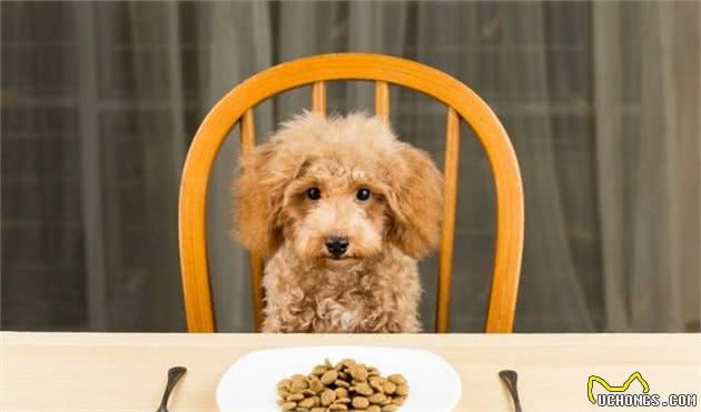 判别你给狗狗的犬粮是否优质，你需要注意成分表里的这五种物质