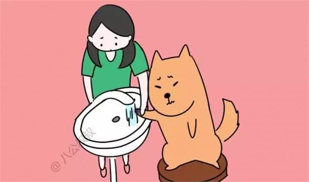 知识狗狗误食中毒后,这些急救知识能救命!