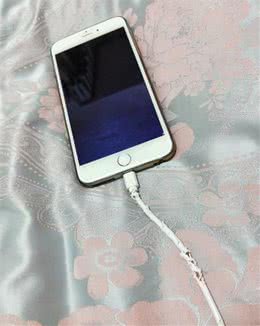 怎么才能让狗狗定点上厕所