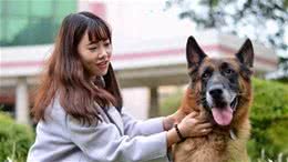 养狗的注意了：这5个小知识，你一定得知道