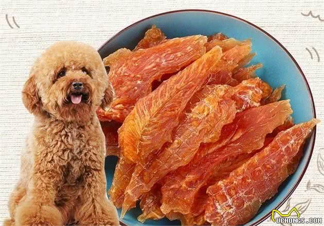 这7种狗狗都需要补充“营养”，你补对了吗？