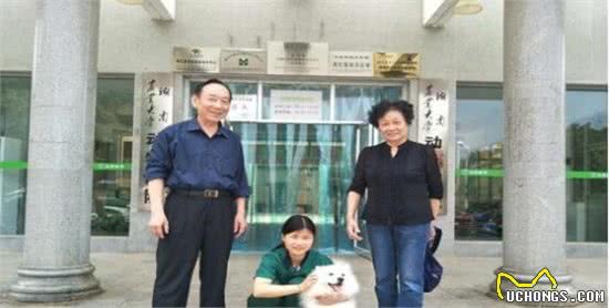 奇迹!瘫痪的银狐犬重新站了起来