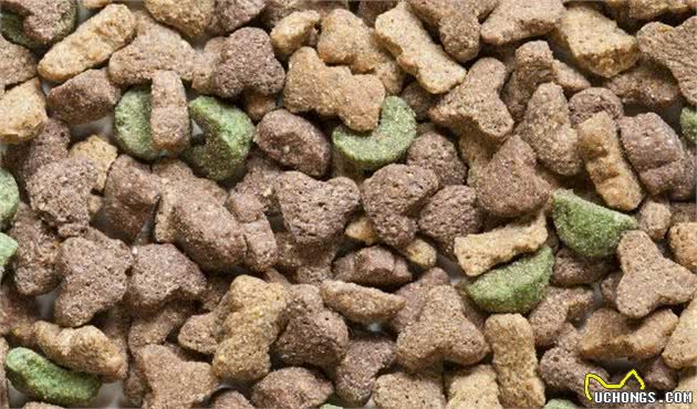 犬粮储存不当危害大，美国博士教你正确的储粮方法：干粮篇