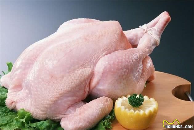 狗狗吃生食好处颇多，生食只是指生肉吗？这样豫备对狗狗更好