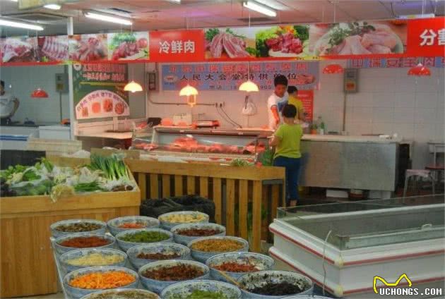 狗狗吃生食好处颇多，生食只是指生肉吗？这样豫备对狗狗更好