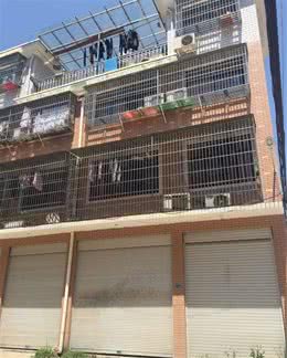 忠犬巴吉度听见主人在楼下的声音四楼跳下，平时连楼梯都不敢下！
