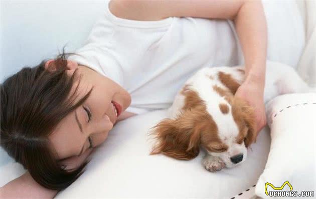 狗狗的分离烦躁与孤独感，你不在家的时候，狗狗都在做些什么