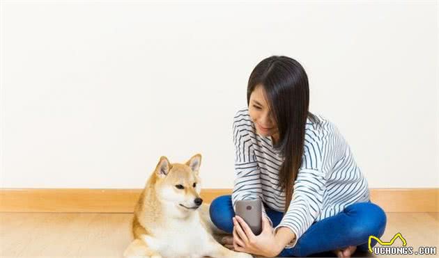 狗狗的分离烦躁与孤独感，你不在家的时候，狗狗都在做些什么