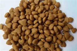 犬粮知识小普及—干型膨化犬粮