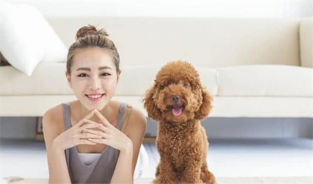 剪个指甲像世界末日？「修狗狗指甲的正确方式」奴才必学