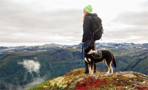 带狗狗去登山，回来惹一身虫子，主人最好就事前豫备好这些！
