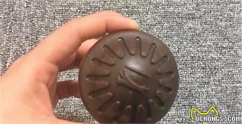 如何给自己的宠物狗挑选合适的玩具？！左边精选推荐