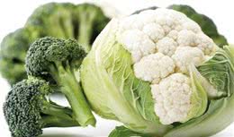 10种狗狗能够吃的人类食物
