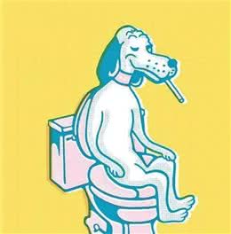 如何训练狗狗在家乖乖定点大小便？「训犬课堂」