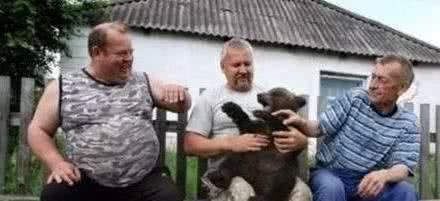 养只哈士奇犬你就苦叫连天，看看战斗民族养的宠物吧！