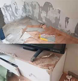 残忍的主人竟将狗狗反锁房内活活饿死！志愿者：它饥饿到啃家具！