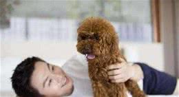 狗狗这个6部位碰不得，让碰说明你对它很重要！