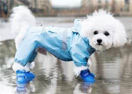 主人给狗狗亲手制作雨衣，很有爱可是太奇葩了！狗：求放过！