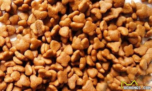新手狗爸狗妈看过来，幼犬粮咋挑？怎么给狗子选择犬粮