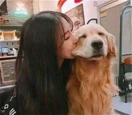 狗狗喜欢亲亲吗？它们可能会很紧张，主人能够拍照察看下