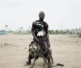 咬合力比狮子还强的狗，却被非洲兄弟当做宠物来养，勇气可嘉