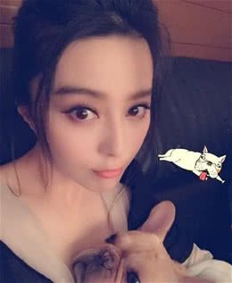 连范冰冰都要瘦成一道闪电了，易胖体质的狗狗表示求瘦的方法