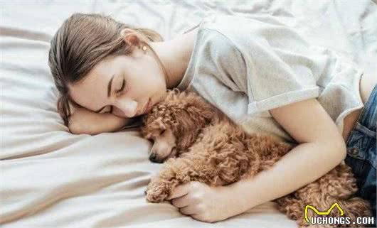 狗狗不同的睡姿代表不同的性格，我家是第二种，你家是哪一种？