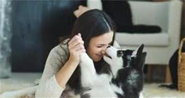 怀孕的人最好别养狗，理由有4点，你赞同吗？