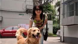 新手如何养狗狗，这些技巧必须要把握！