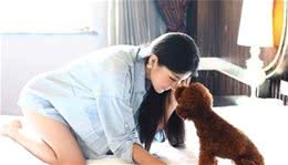 察看犬行为学知道狗的想法