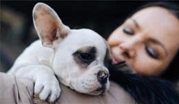 狗狗不听怎么办？了解狗狗的记忆模式，你也能够成为训犬专家