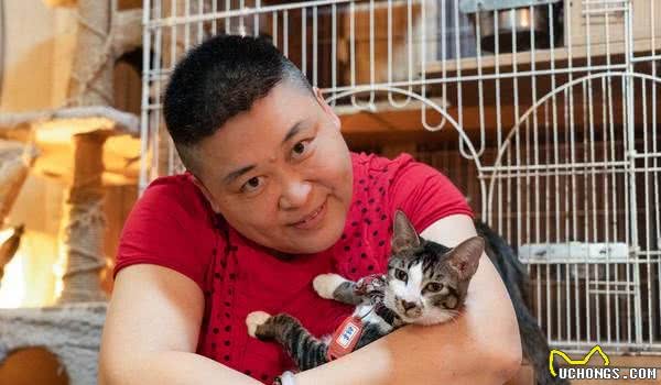幼猫幼犬吃什么? 达人告诉你「正确饮食」是猫狗成长的关键