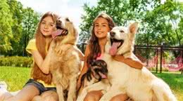 狗长大后为啥会与母亲繁殖，这是一种什么现象？专家给出答案