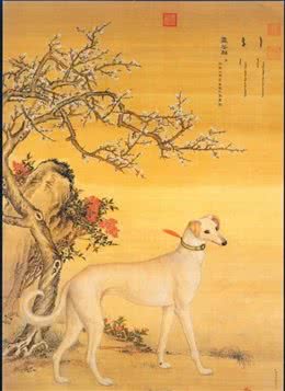 从猎犬、祭品到人类的同伴，前人和狗的二三趣事