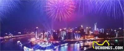 一起看,国外如何管理流浪狗!
