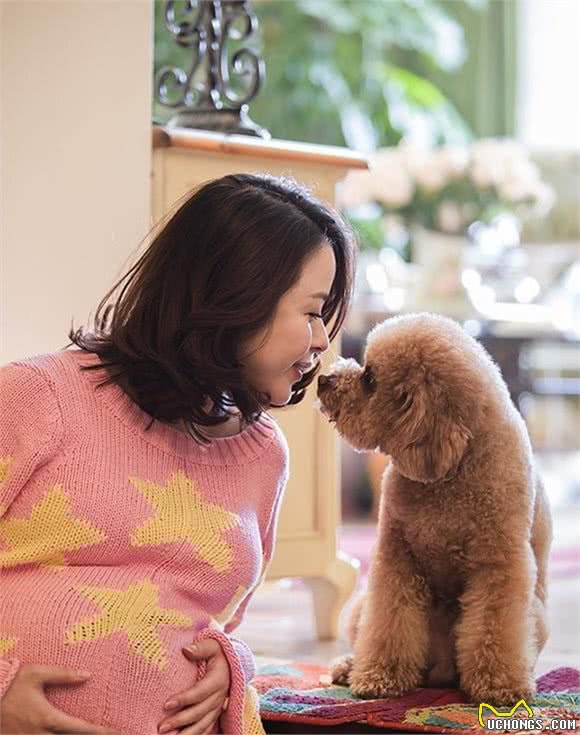 狗狗也会难产吗？这篇文章告诉你所有关于狗狗生产时难产的情况！