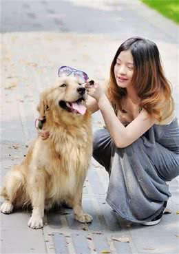 狗狗耳道有异味，如何日常护理？