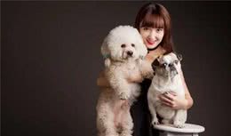 为什么部分人会选择领养高龄宠物？细数高龄宠物的十大好处！