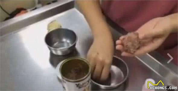 狗狗喂药有妙招！3招教你快狠准一口食物塞药丸最好