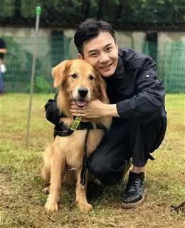 怎样教育家里的宠物犬，让狗狗懂事又省心？