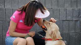 狗狗乱叫该怎么办？