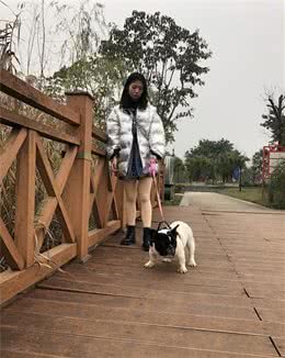 狗狗的食物类型有哪些？