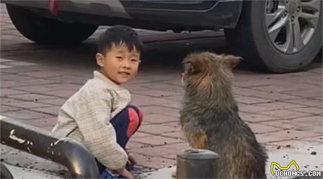 小男孩蹲在路边和流浪狗聊天，画面太治愈了，不禁露出姨母笑