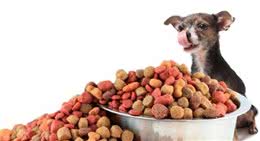 狗以食为天，学会怎么挑选一款优秀的犬粮，是每一个狗主人必备技能