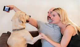 又来骗你养狗系列：养狗的6大好处，看完我都想养了