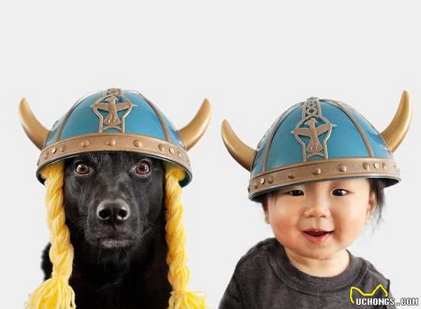 为什么刚买的狗狗容易得病，新购犬容易得病的五大根本原因！