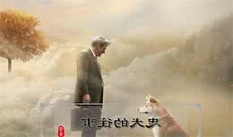 揭秘，狗的种类繁多，外型又如此多样化，它们的祖先真的是狼吗？